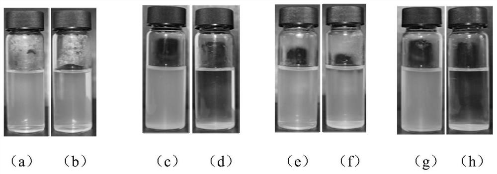 Bioactive Glass Nanoparticles Physiological Environment Stability Modification Method and Biomedical Application