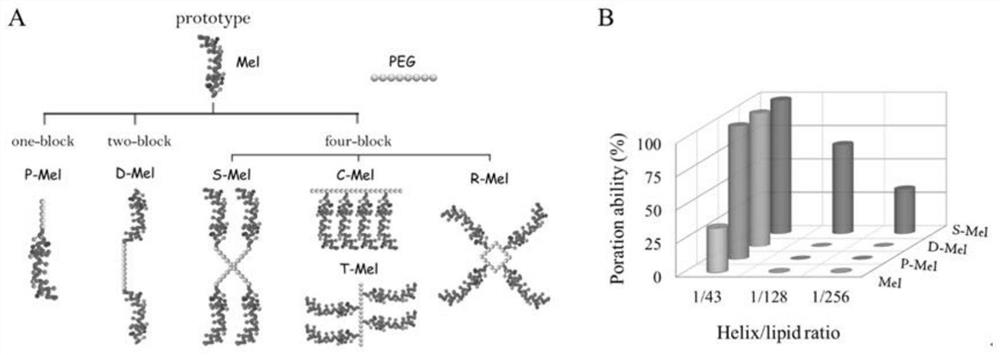 Antibacterial drug based on antimicrobial peptide C-terminal connection