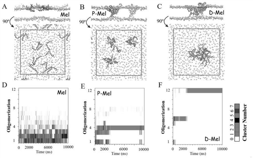 Antibacterial drug based on antimicrobial peptide C-terminal connection