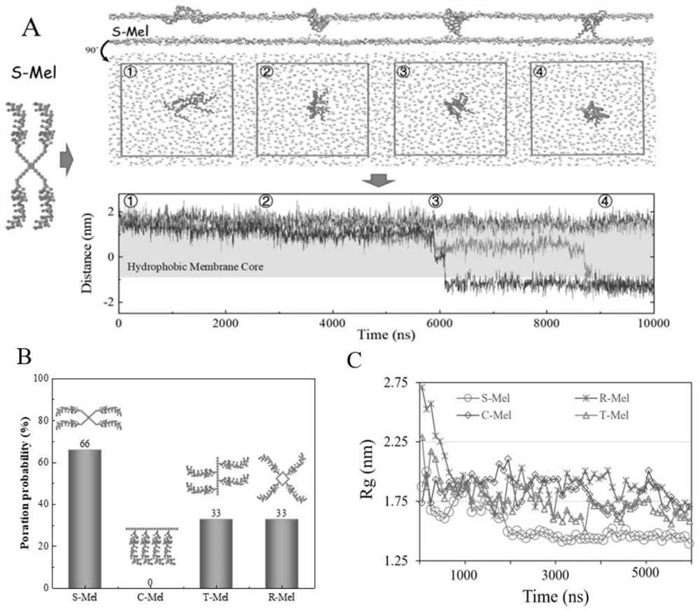 Antibacterial drug based on antimicrobial peptide C-terminal connection