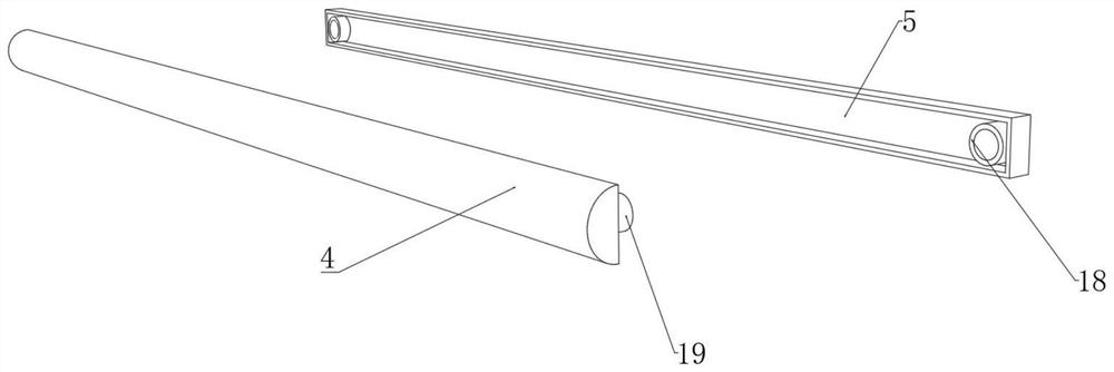 Roll screen display device capable of displaying in multiple directions