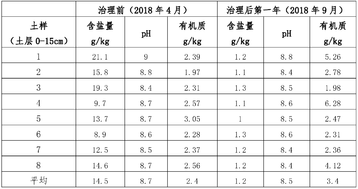 Conditioner for steppe soil of mud flat saline-alkaline land, and preparation method thereof