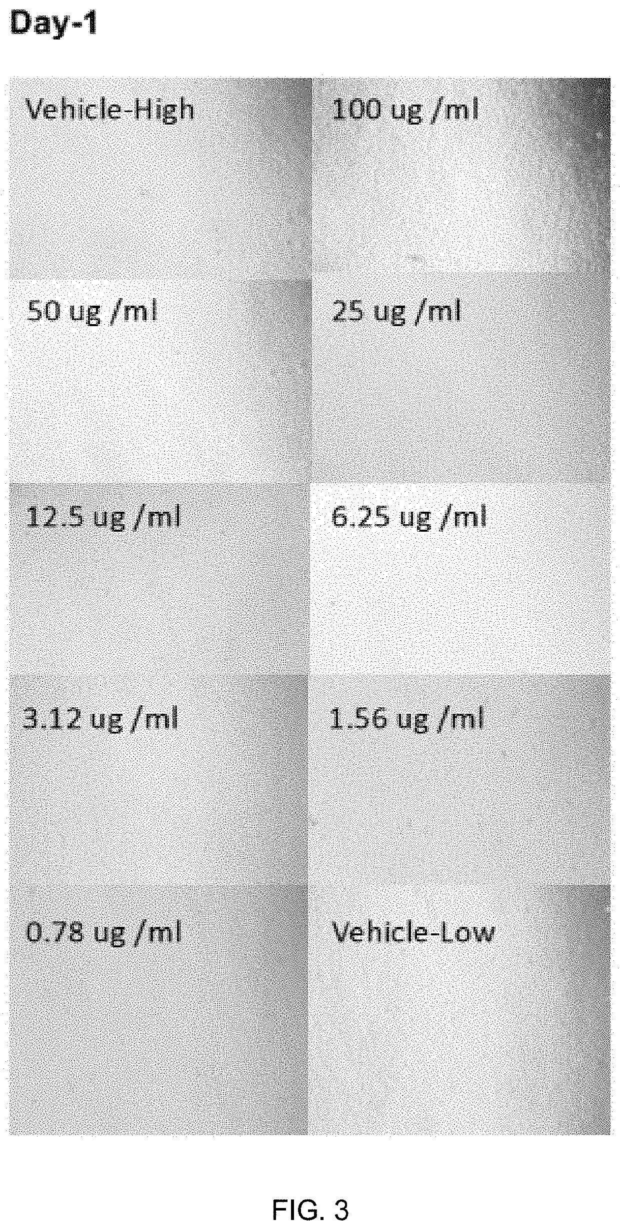 Method and composition for preventing and treating viral infections