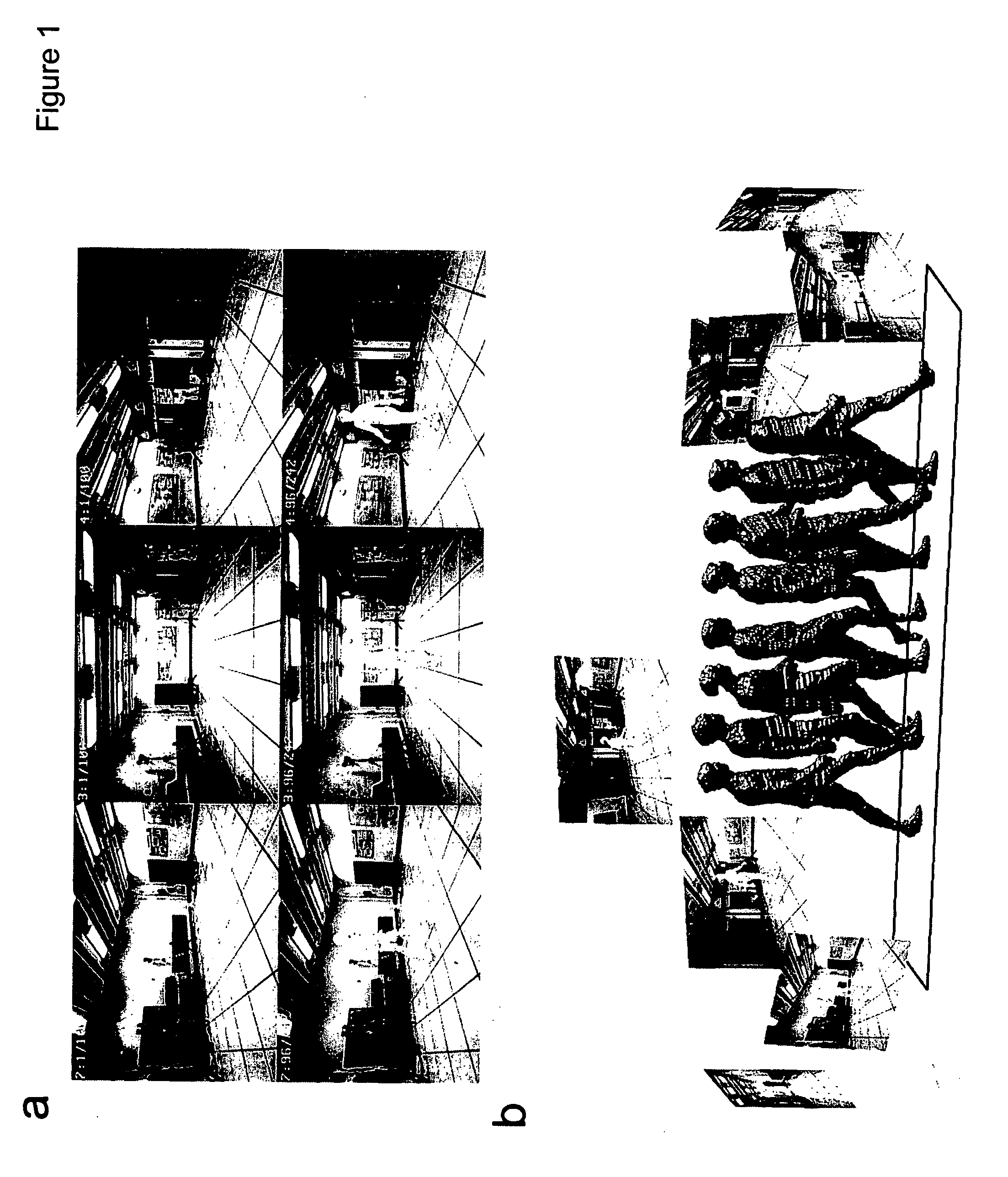 Markerless motion capture system