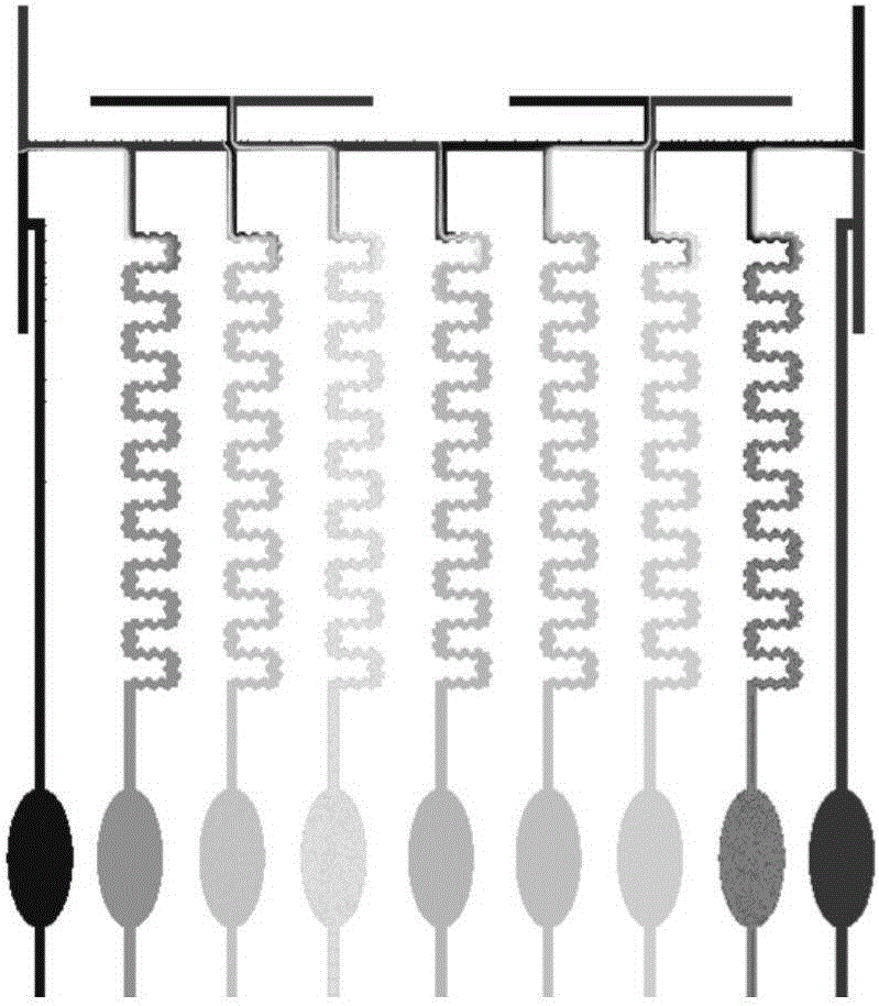 Microfluidics cell drug concentration gradient generator