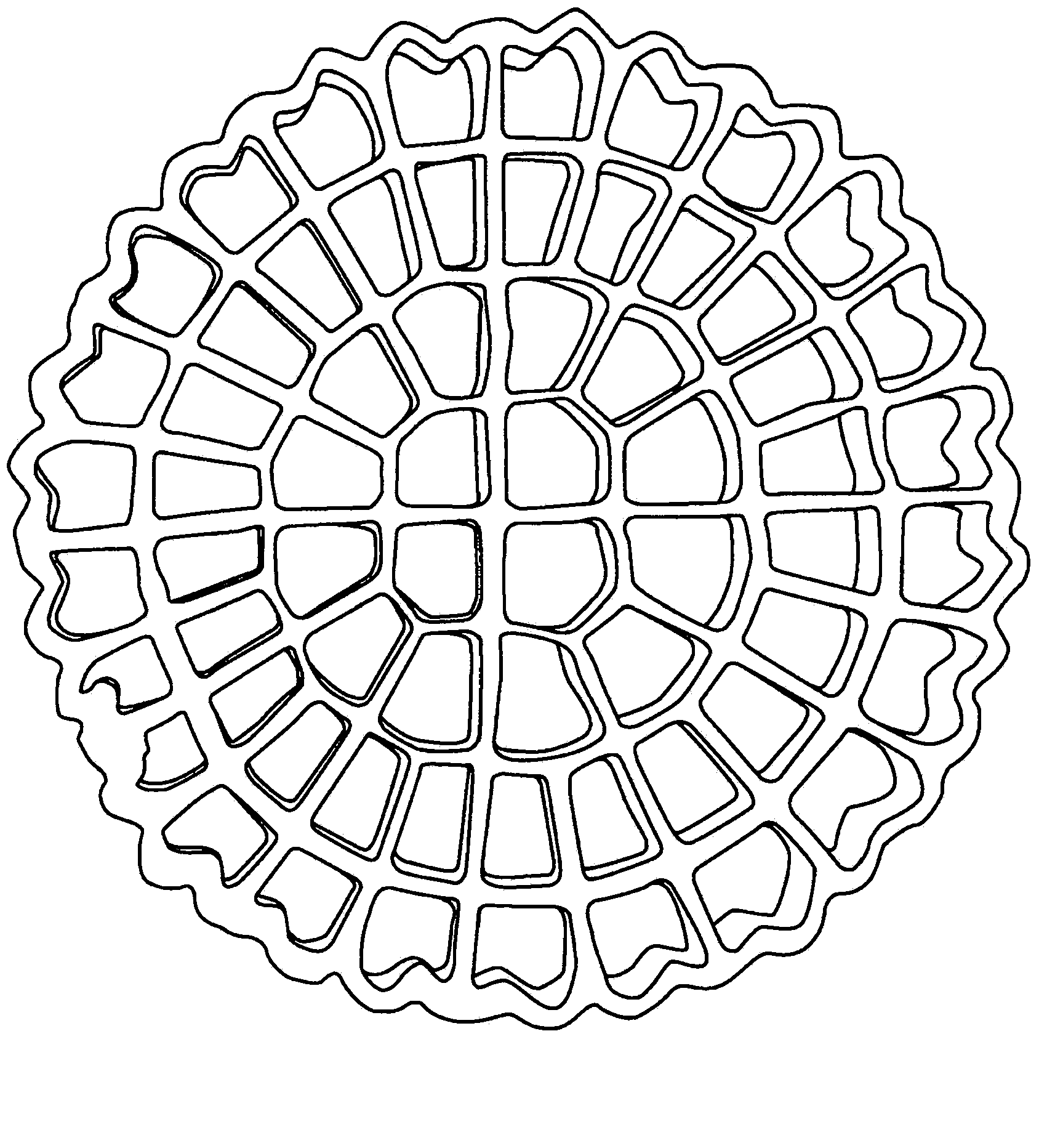 Improved biological waste water purification reactor and method