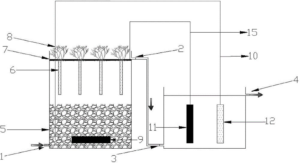 A microbial fuel cell coupled electrode biofilm phosphorus and nitrogen removal system and its application