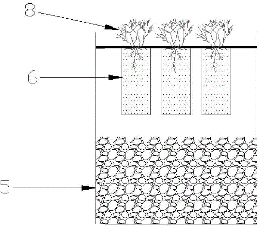 A microbial fuel cell coupled electrode biofilm phosphorus and nitrogen removal system and its application