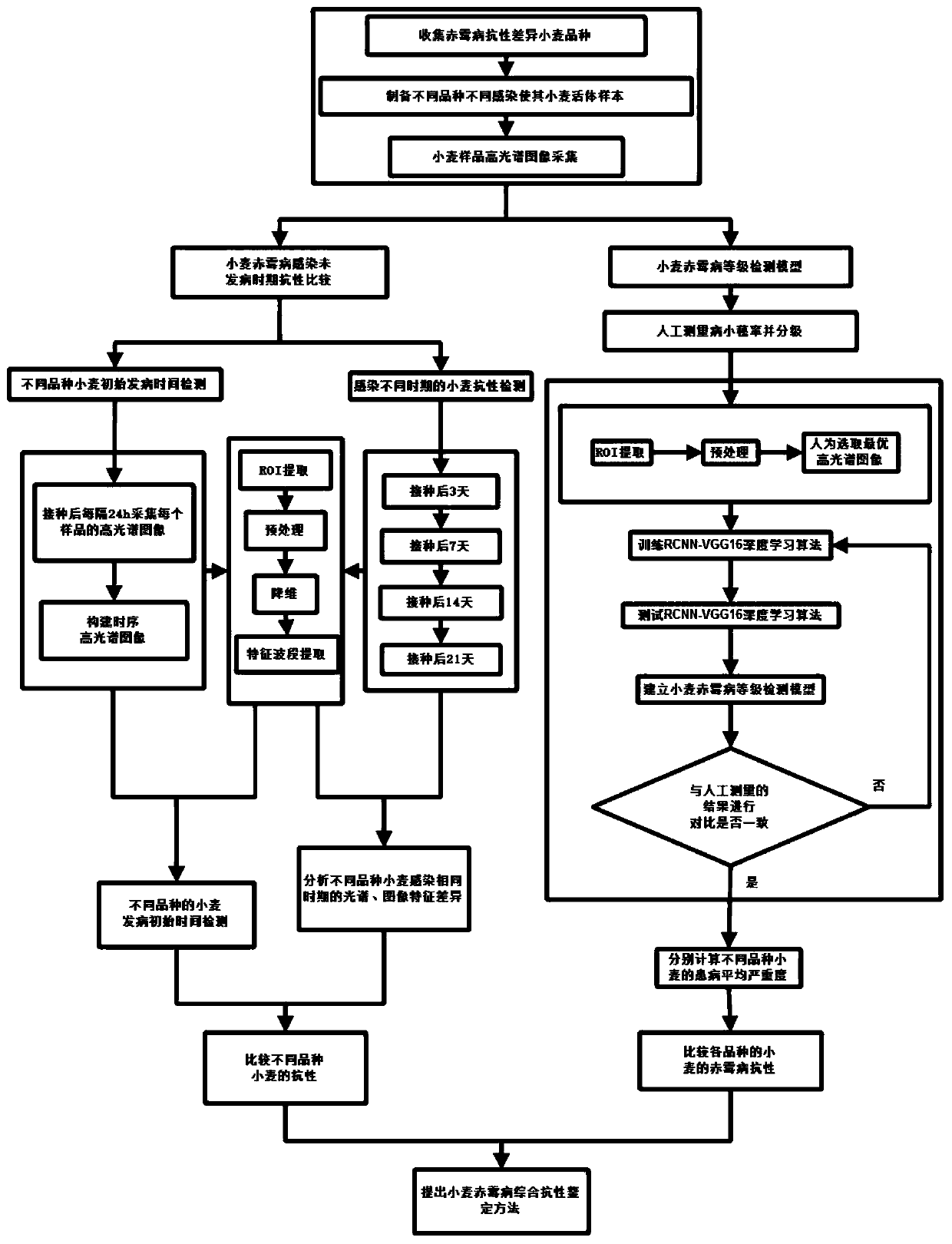 A method for comprehensive resistance identification of wheat varieties to head blight based on hyperspectral images