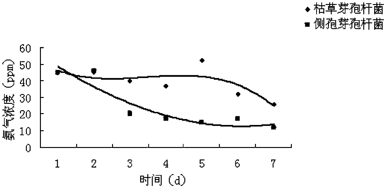 Bacillus laterosporus fermentation bed and manufacturing method thereof