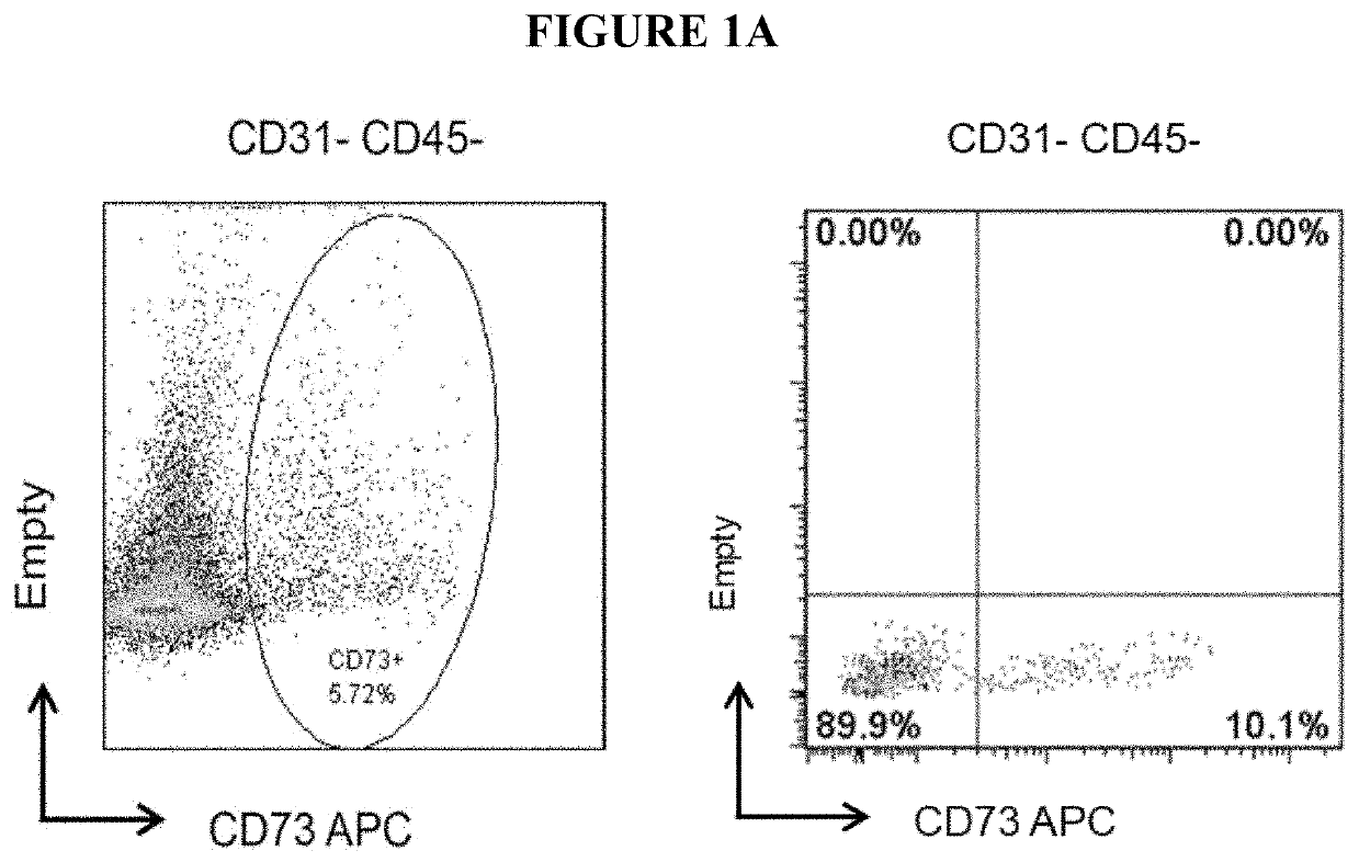 Methods for producing fibroadipogenic progenitor cells