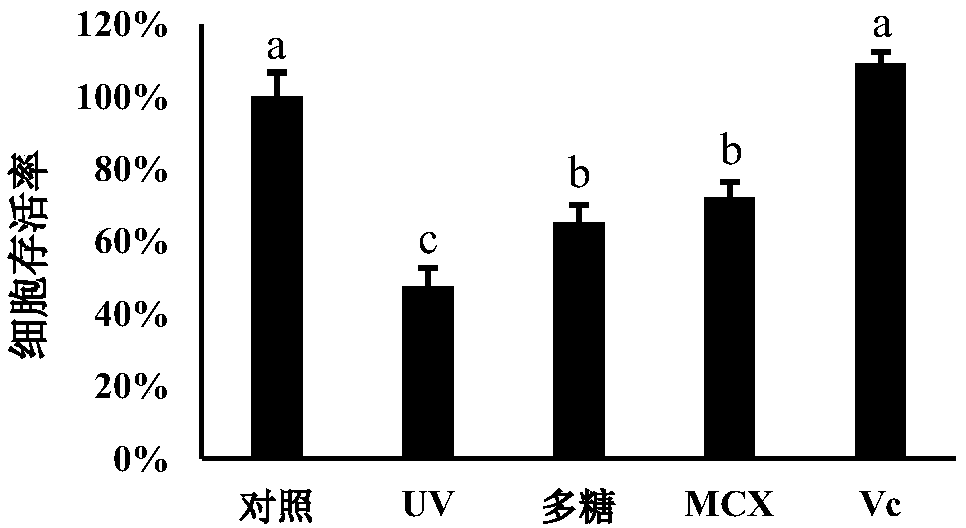 Pseudomonas rhodesiae PYQ4 for highly producing exopolysaccharide and preparation method and application of exopolysaccharide