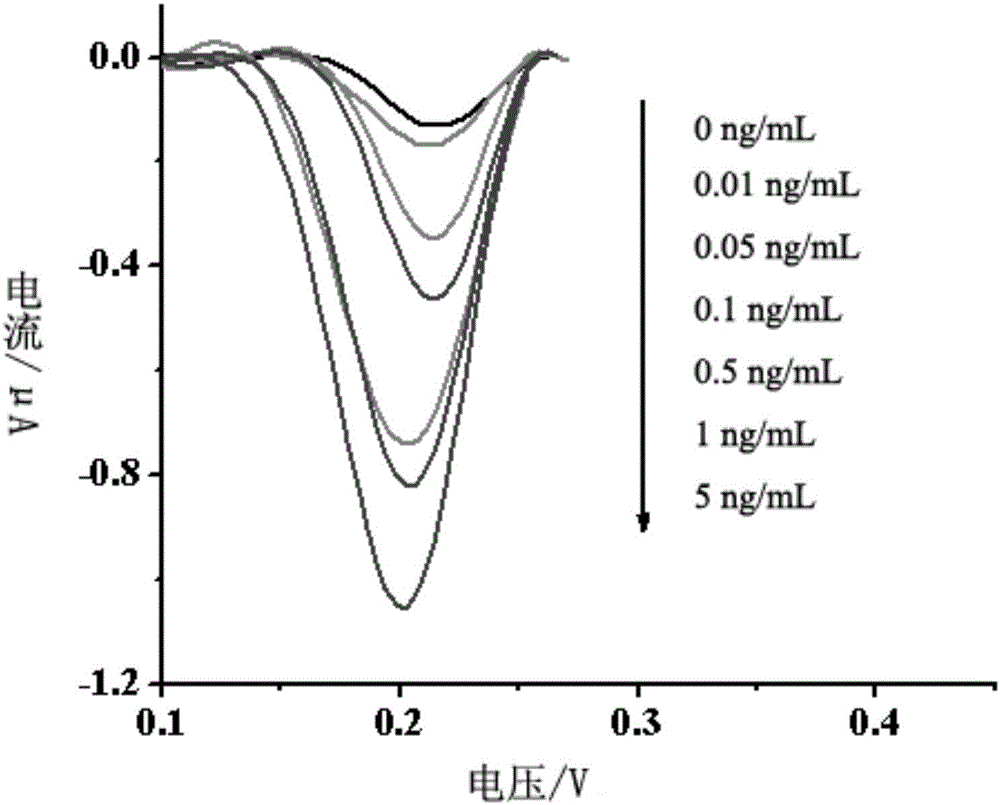 Method for detecting concentration of human epidermal growth factor receptor-2 (HER-2)