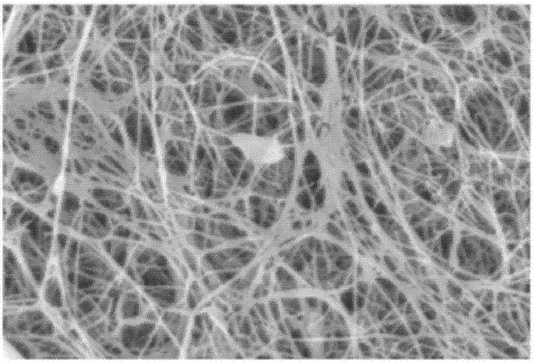 Collagen/bacterial cellulose composite membrane dressing and preparing method thereof