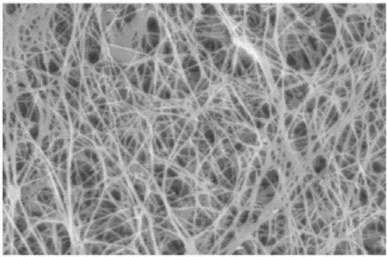 Collagen/bacterial cellulose composite membrane dressing and preparing method thereof