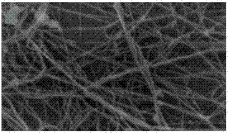 Collagen/bacterial cellulose composite membrane dressing and preparing method thereof