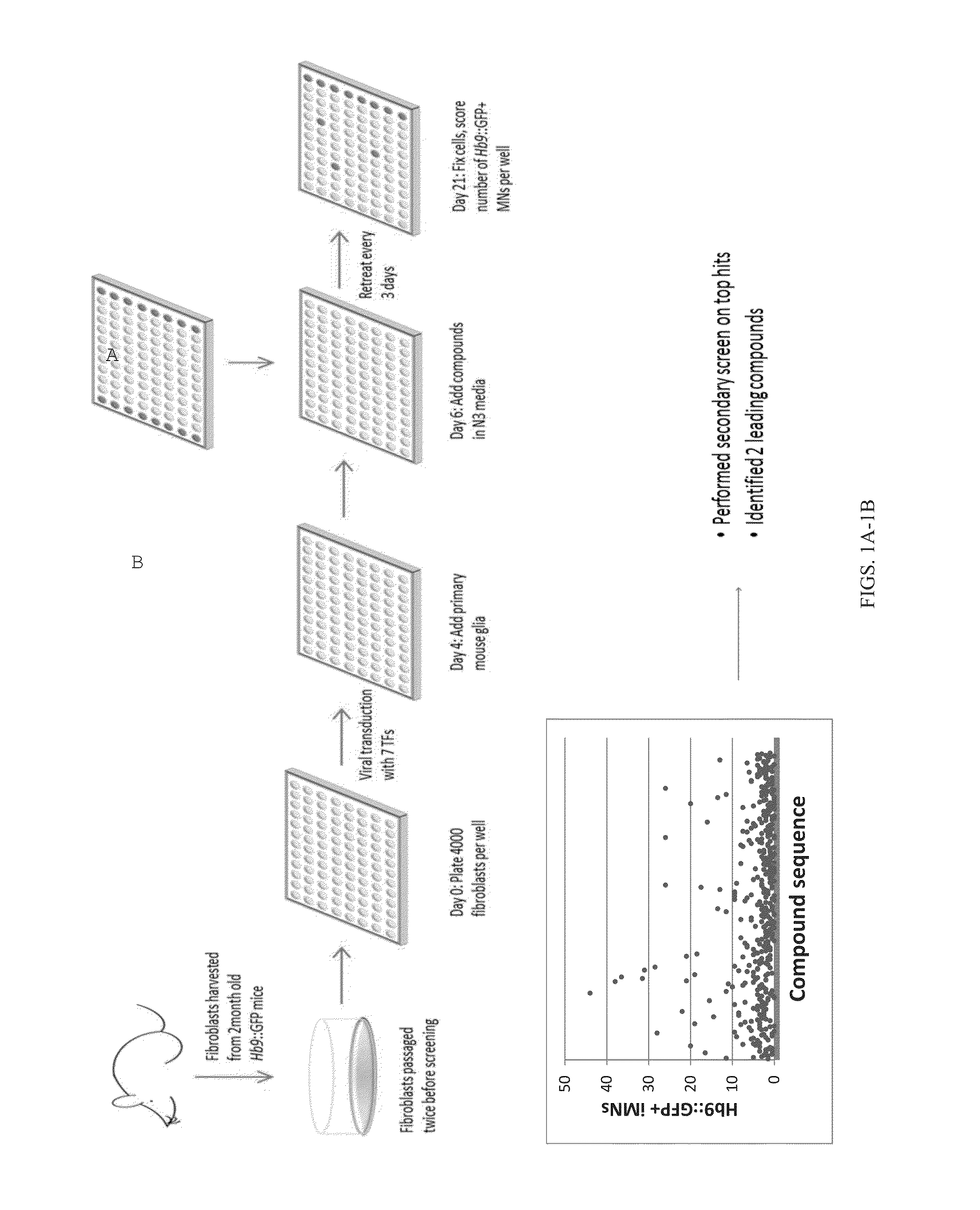 Compositions and methods for improving induced neuron generation