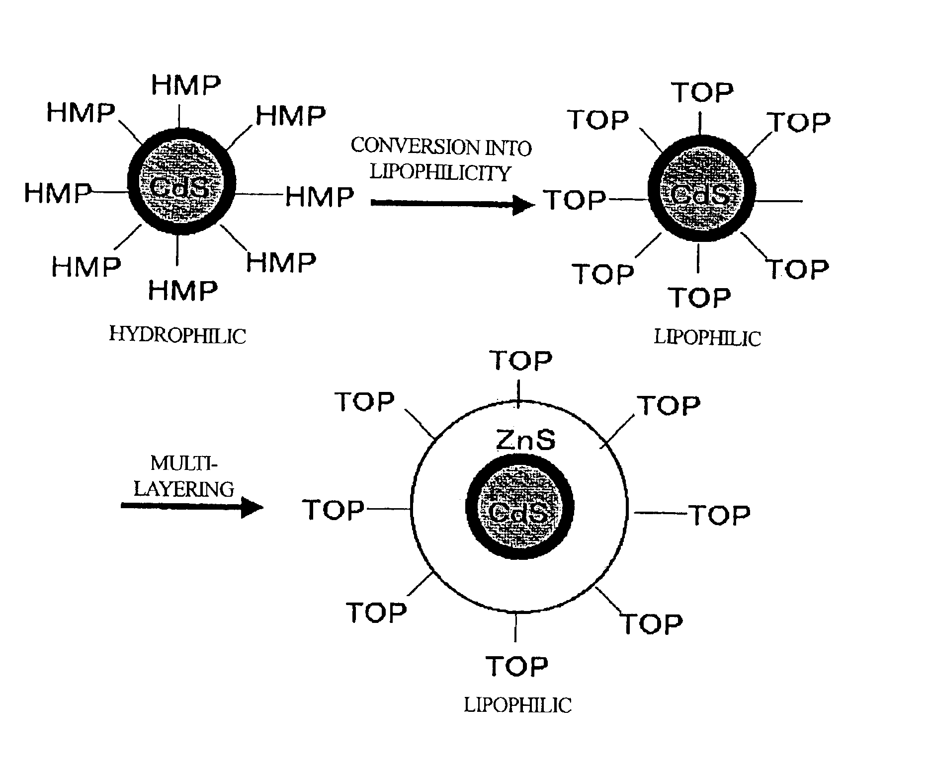 Method of manufacturing a multi-layer semiconductor nanoparticle, and a multi-layer semiconductor nanoparticle manufactured by the method