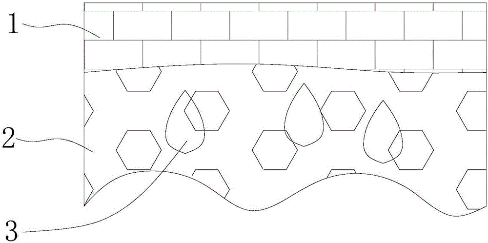 Tissue engineering skin constructed by sodium alginate hydrogel scaffold and preparation method thereof