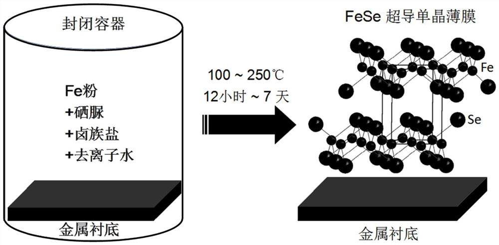 Hydrothermal preparation method of superconducting single crystal film and product thereof