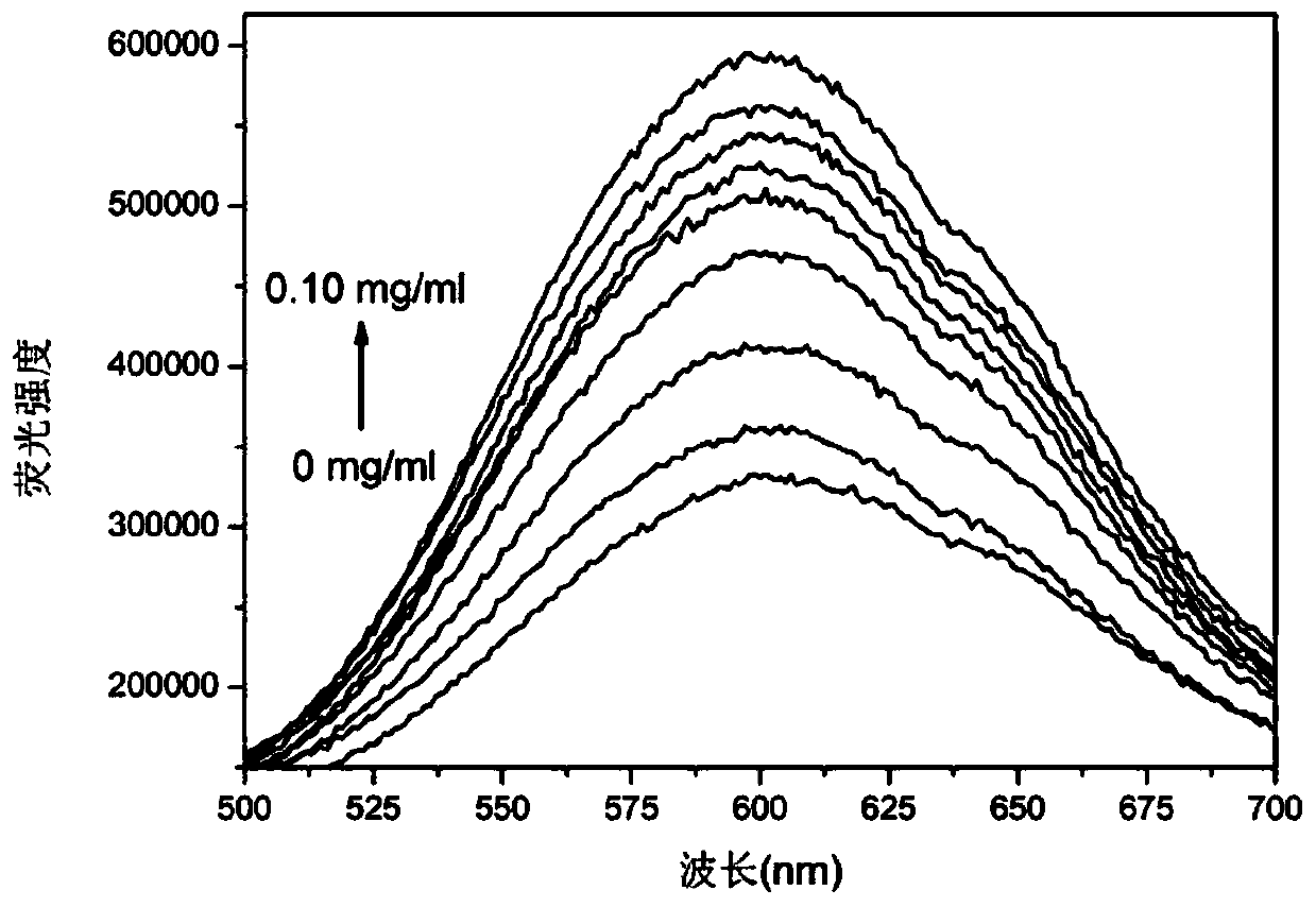 Application of gold nano-cluster in detection of protein amyloid fibrosis in biological sample and screening of inhibitor