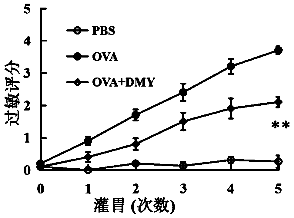 Application of dihydromyricetin to preparation of medicines for resisting food allergy