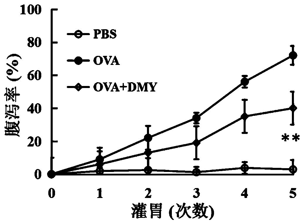 Application of dihydromyricetin to preparation of medicines for resisting food allergy