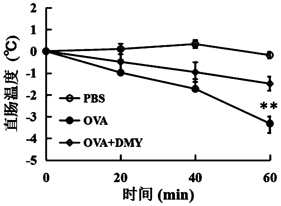 Application of dihydromyricetin to preparation of medicines for resisting food allergy