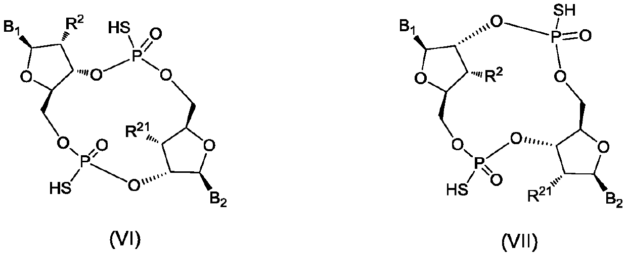 Cyclic dinucleotide analogues, pharmaceutical composition of analogues and applications of analogues and pharmaceutical composition