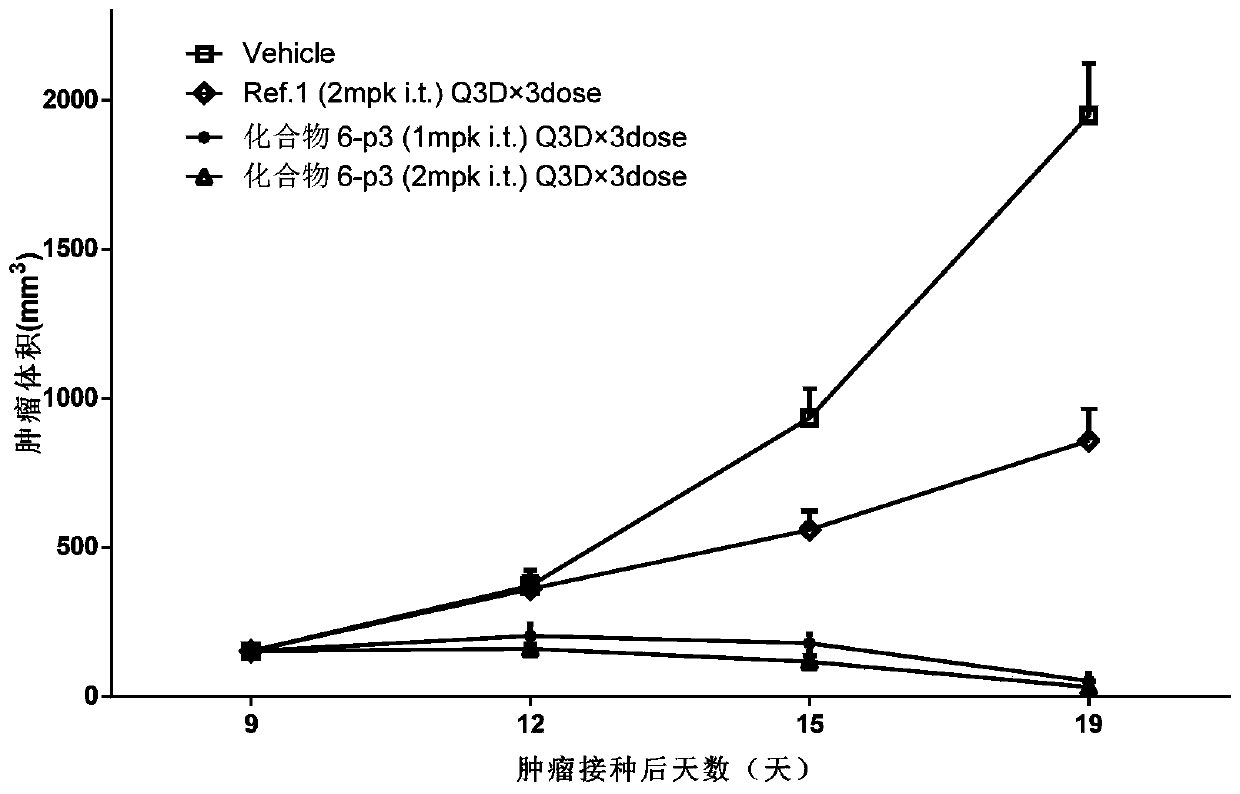 Cyclic dinucleotide analogues, pharmaceutical composition of analogues and applications of analogues and pharmaceutical composition