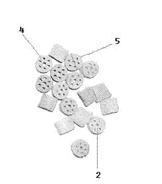 Alumina supporter for silver catalyst and silver catalyst