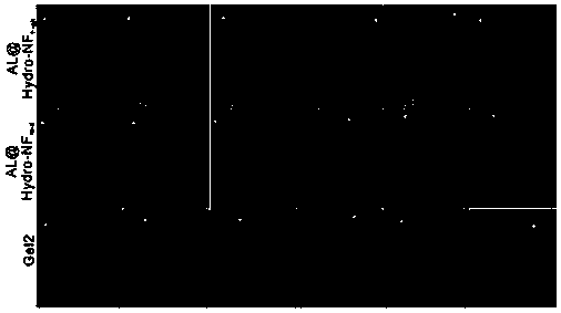 Preparation method of alginate-hydrogel nanometer fiber scaffold