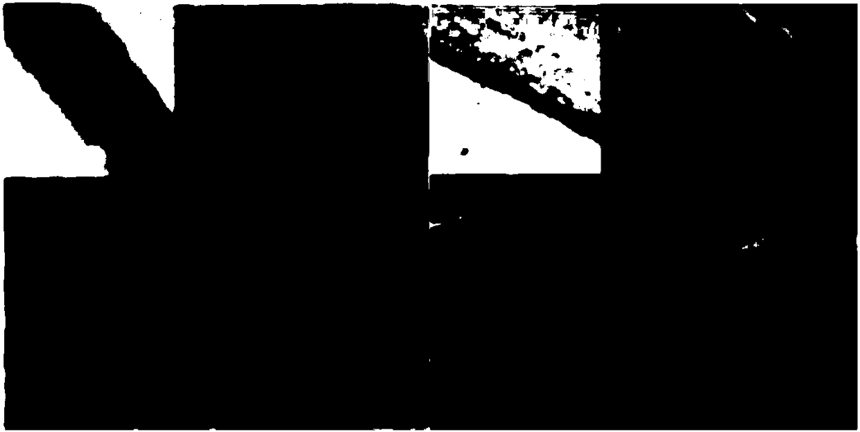 Preparation method of alginate-hydrogel nanometer fiber scaffold