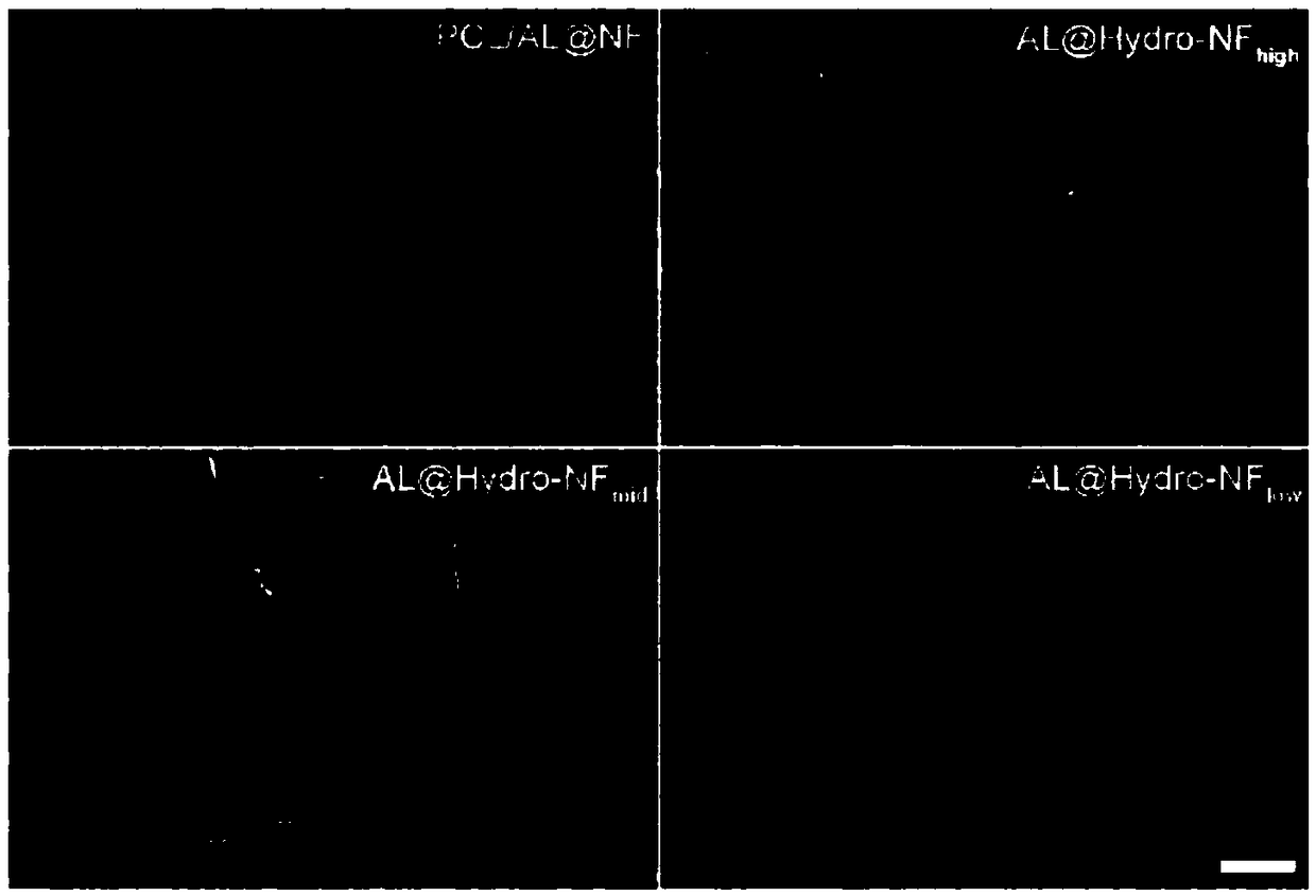 Preparation method of alginate-hydrogel nanometer fiber scaffold