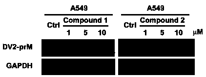 Application of tiacumicin derivatives in preparation of medicines for treating related diseases and/or symptoms caused by dengue virus infection