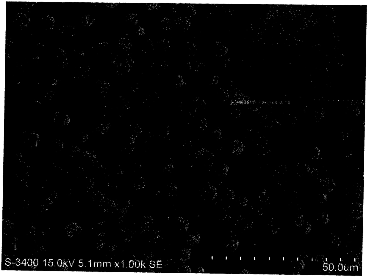 Hollow calcium carbonate microsphere and preparation method thereof