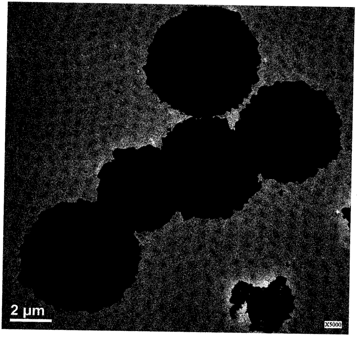 Hollow calcium carbonate microsphere and preparation method thereof