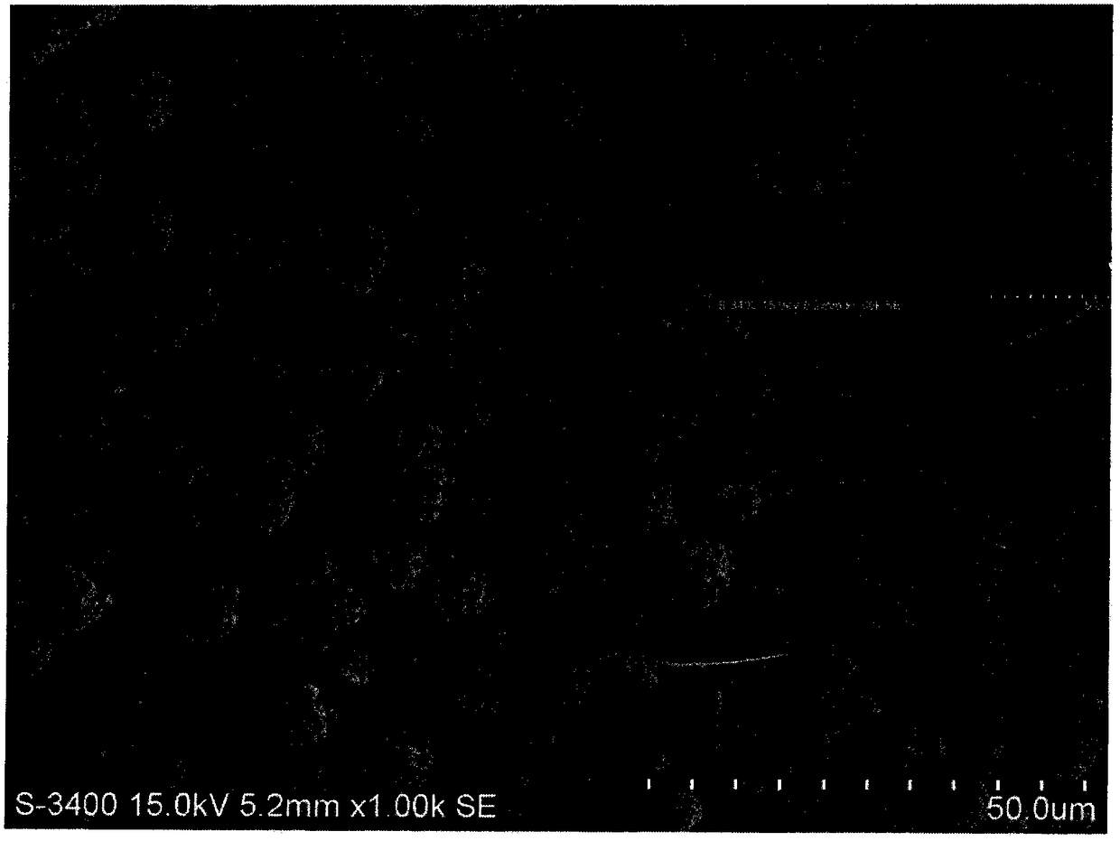 Hollow calcium carbonate microsphere and preparation method thereof