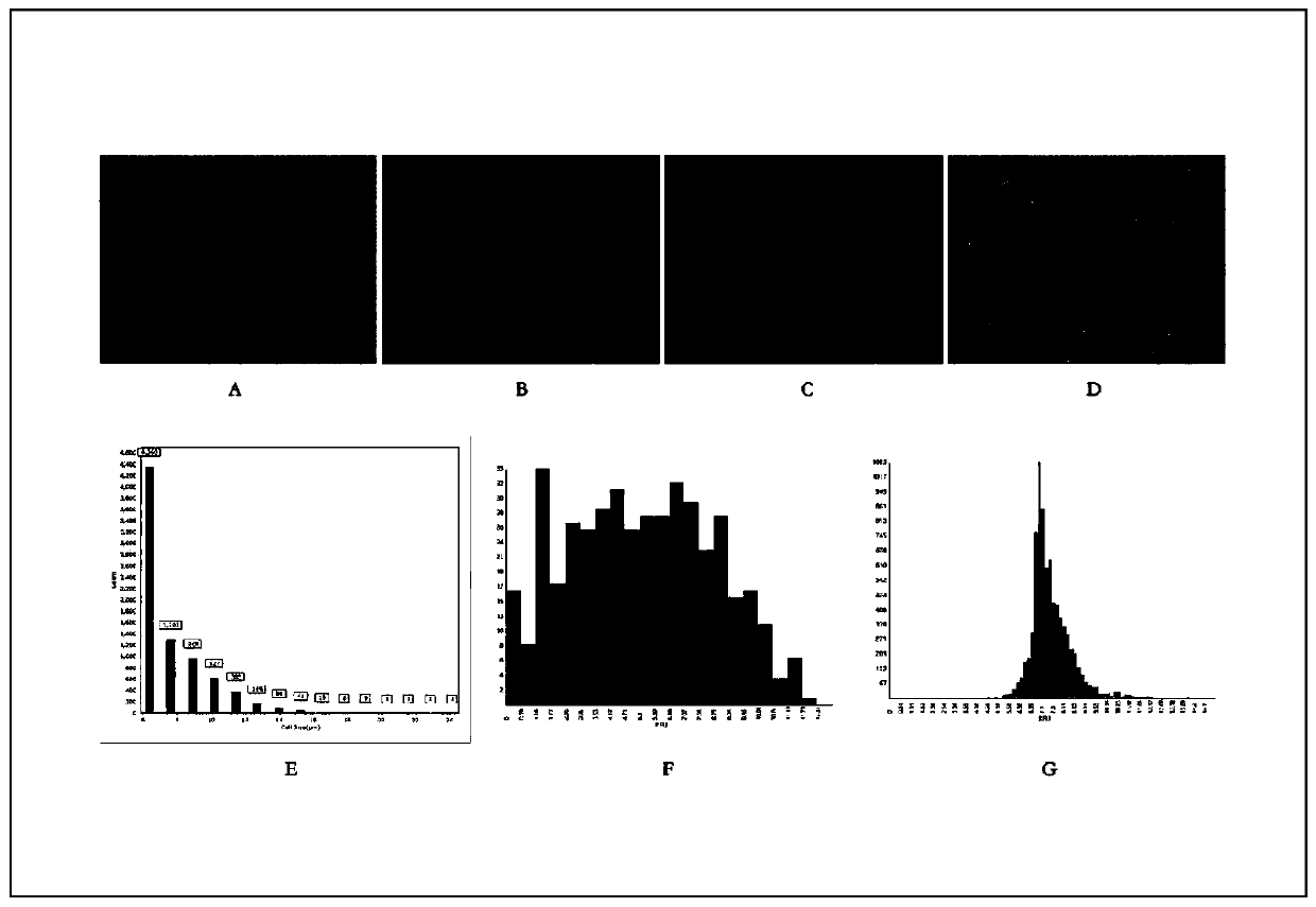 Method for preparing high-quality single-cell suspension by remarkably improving plaque digestion