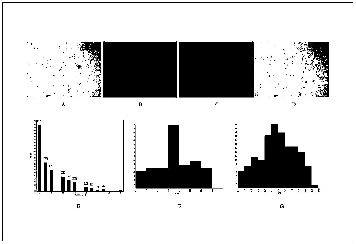 Method for preparing high-quality single-cell suspension by remarkably improving plaque digestion