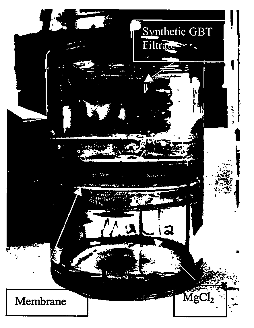 Struvite crystallization