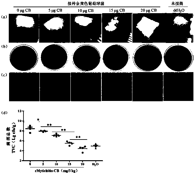 Application of recombinant Mytichitin-CB antimicrobial peptide