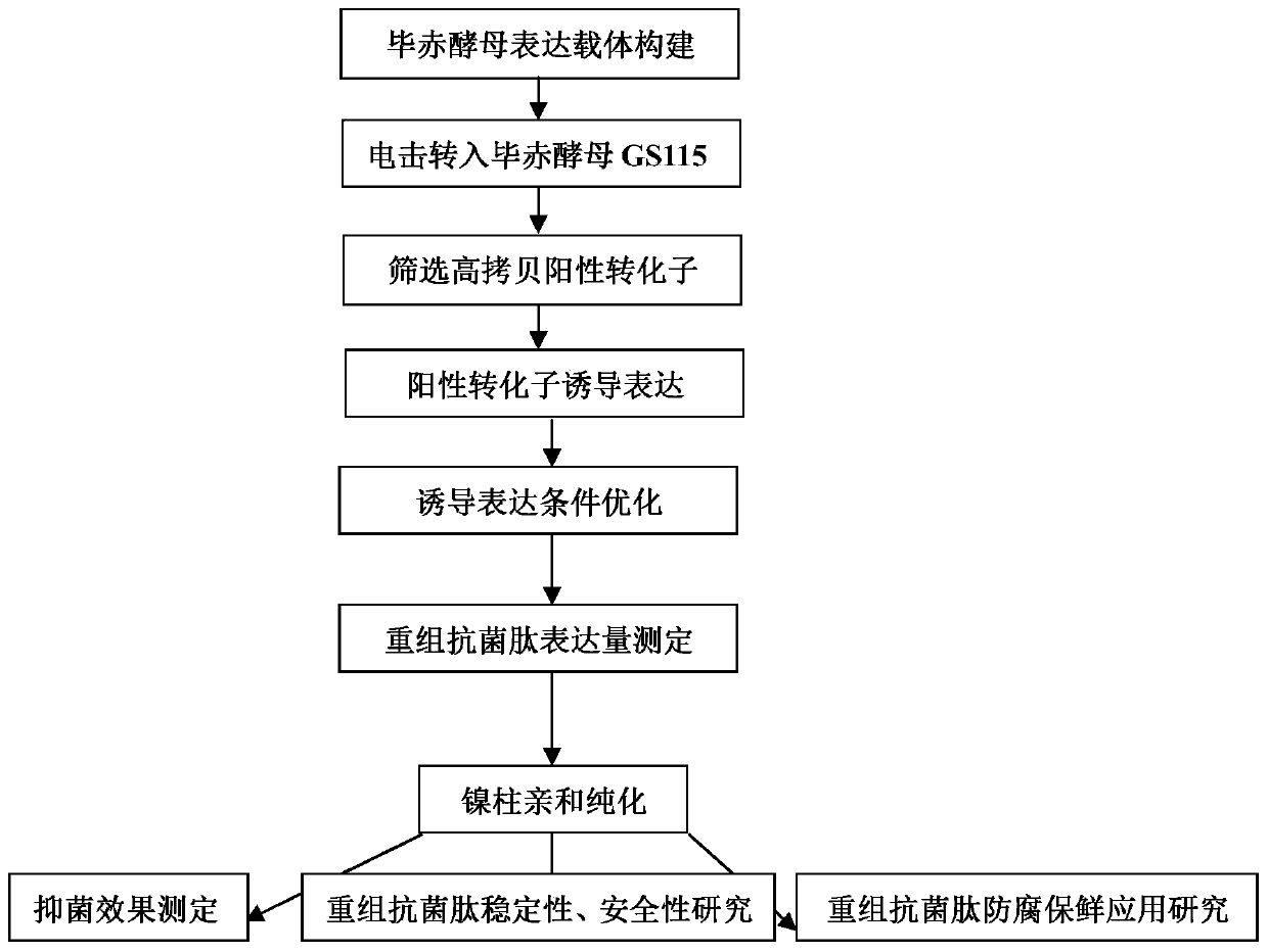 Application of recombinant Mytichitin-CB antimicrobial peptide