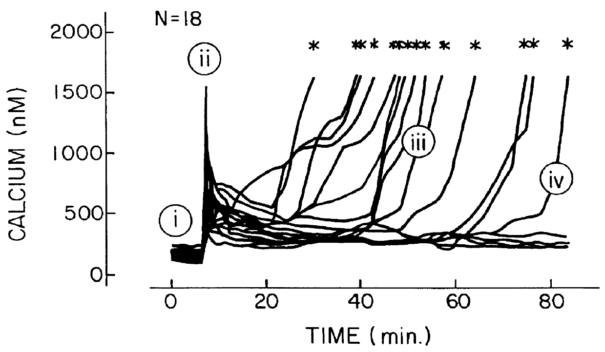 In vivo treatment of mammalian cells with a cell membrane permeant calcium buffer