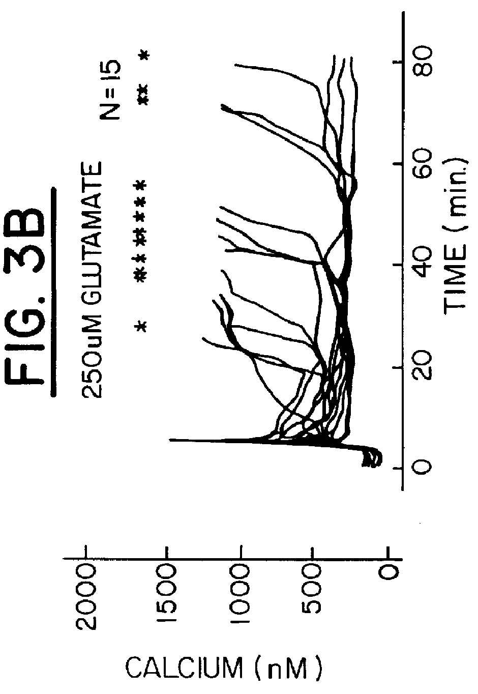 In vivo treatment of mammalian cells with a cell membrane permeant calcium buffer