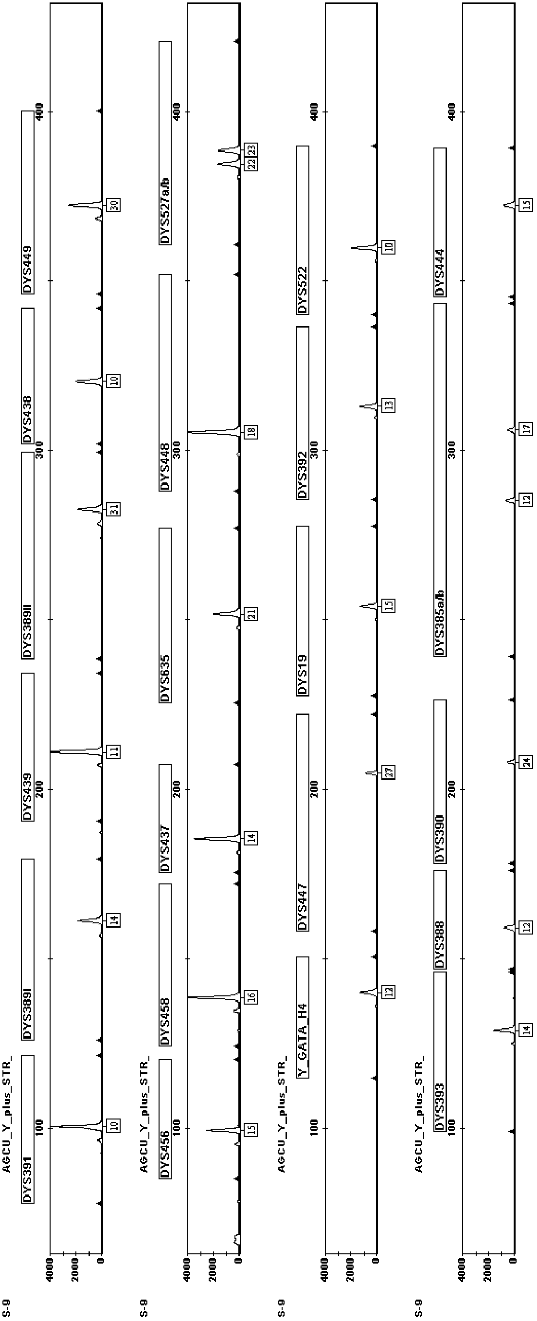 Fluorescence-labeled composite amplification kit for Y chromosome STR (short tandem repeat) gene loci capable of improving distinguishing capability and application thereof