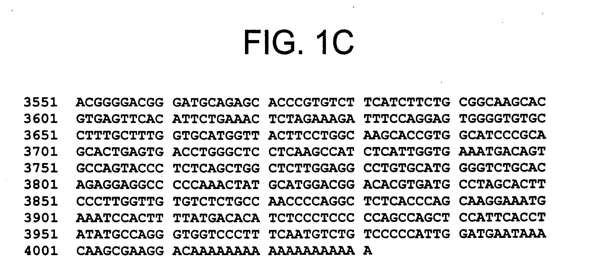 Lynx, a novel family of receptor ligands in the central nervous system, corresponding nucleic acids and proteins and uses thereof