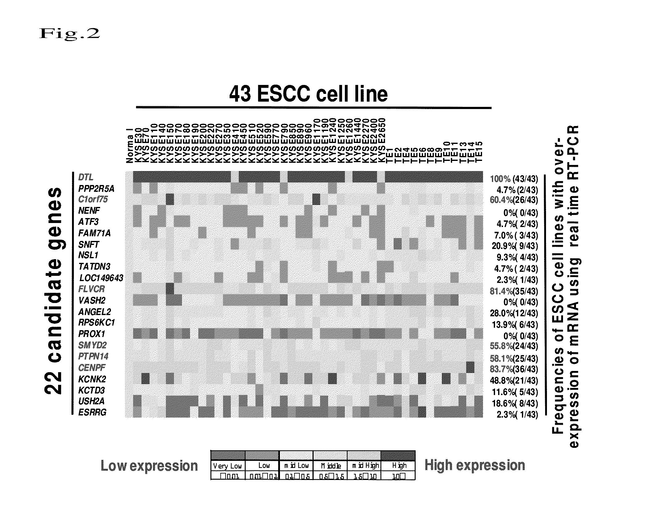 Method for detecting esophageal carcinoma and agent for suppressing esophageal carcinoma