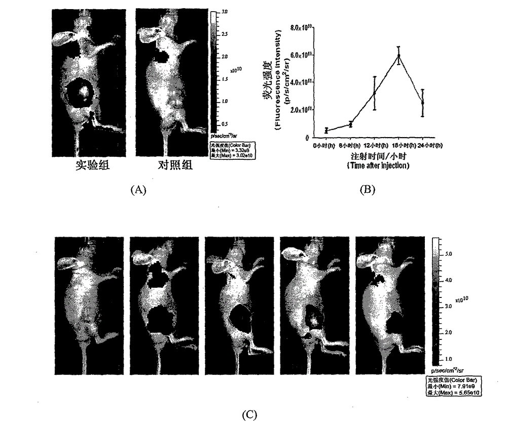 Symmetric pentamethyl cyanine dye and application thereof to molecular imaging