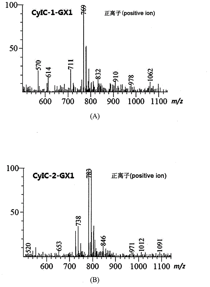 Symmetric pentamethyl cyanine dye and application thereof to molecular imaging